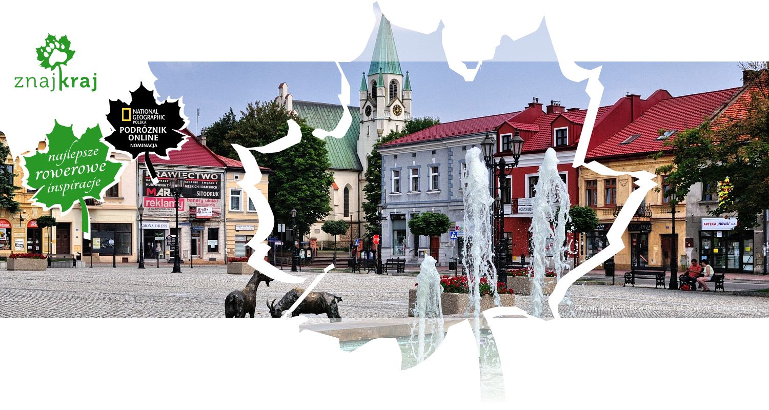 Okocimskie koziołki w Brzesku