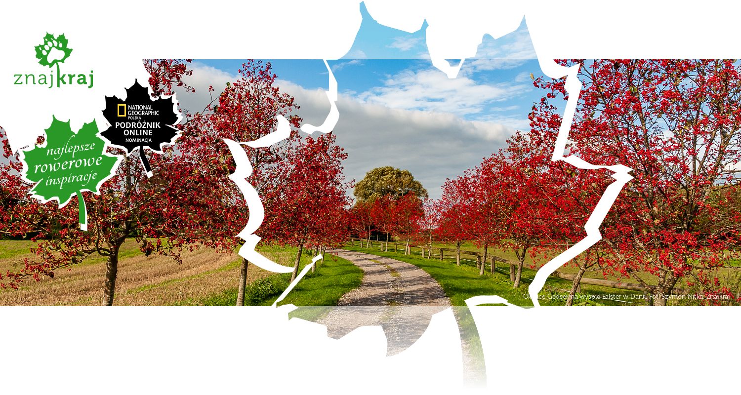 Okolice Gedser na wyspie Falster w Danii