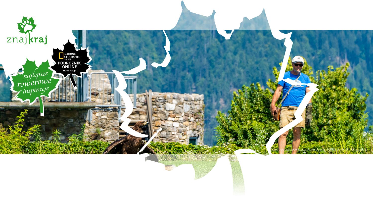 Orzeł podczas pokazu w Adler Arena