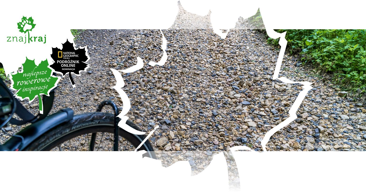 Ostry tłuczeń na Szlaku Orlich Gniazd