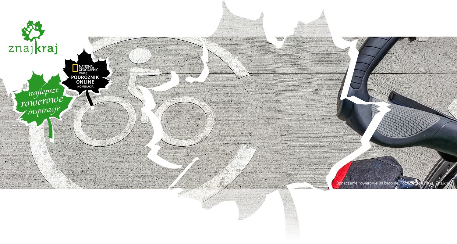 Oznaczenie rowerowe na betonie