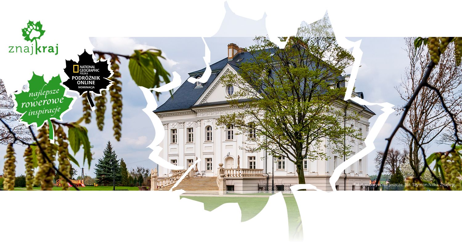 Pałac w Boryni raz jeszcze