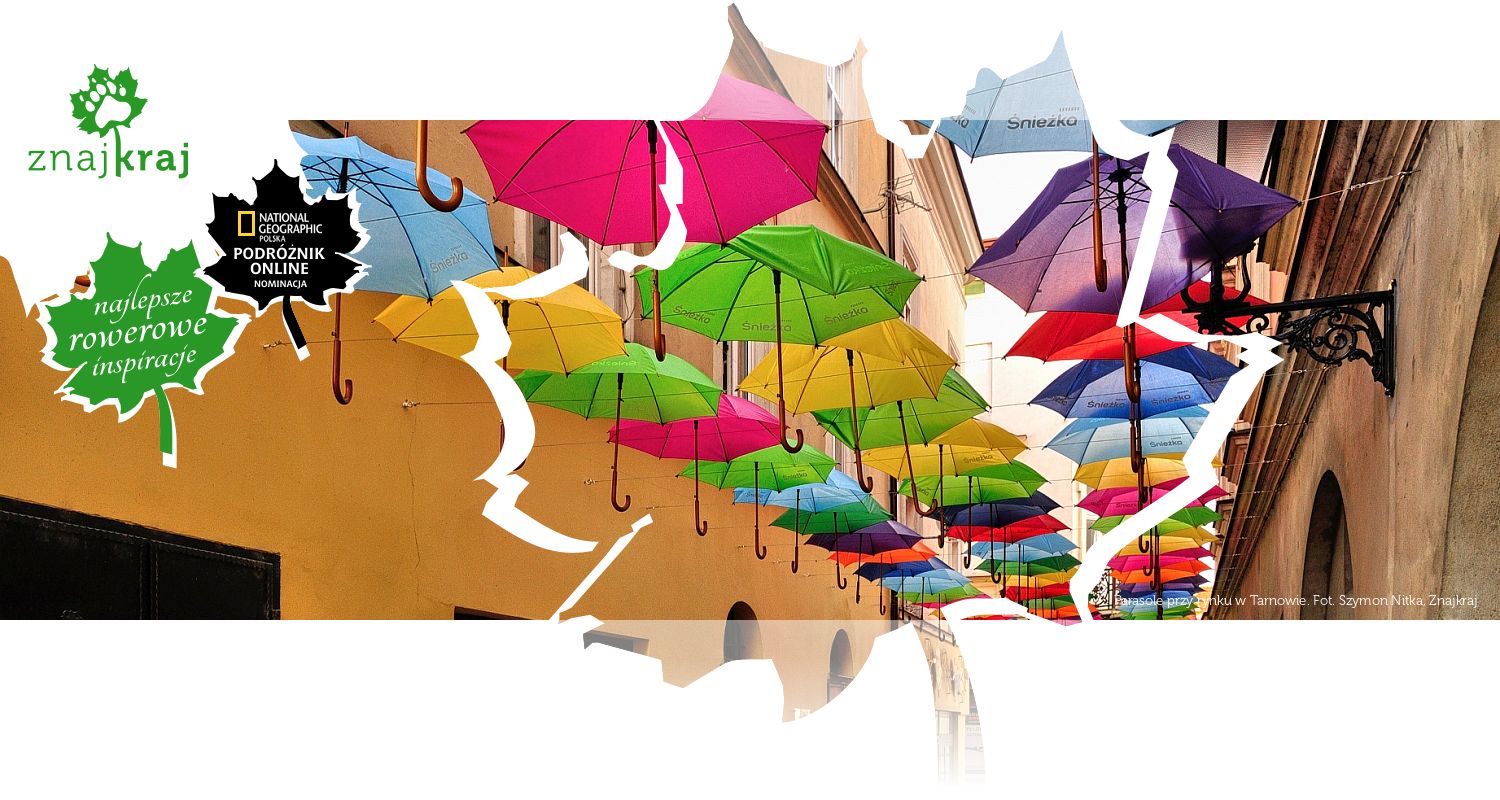 Parasole przy rynku w Tarnowie