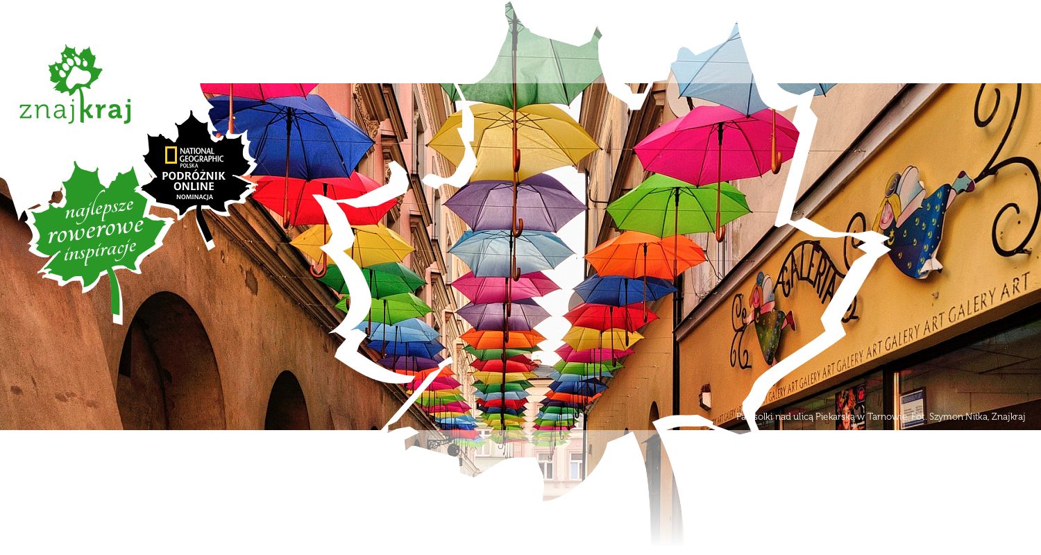 Parasolki nad ulicą Piekarską w Tarnowie