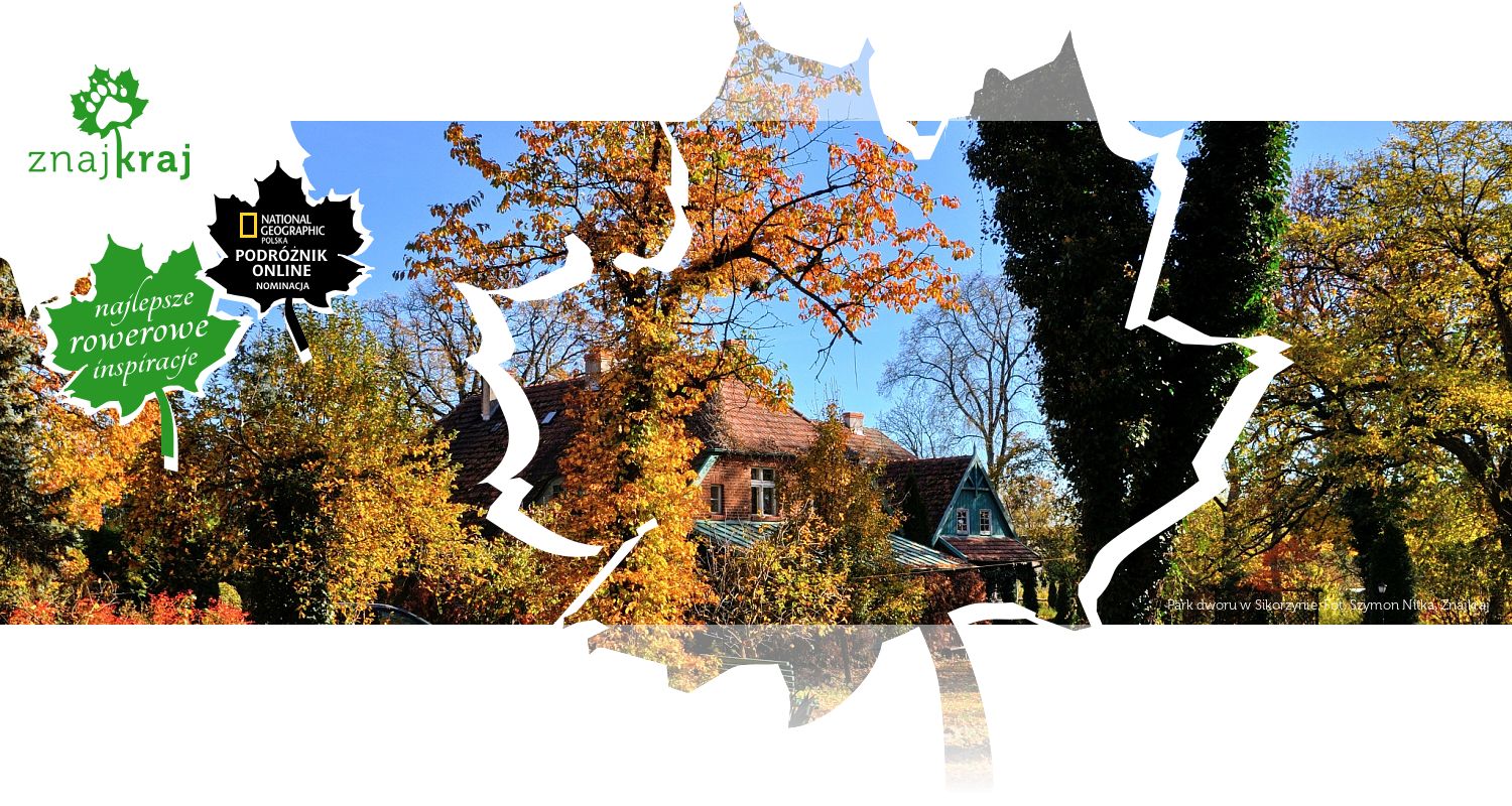 Park dworu w Sikorzynie
