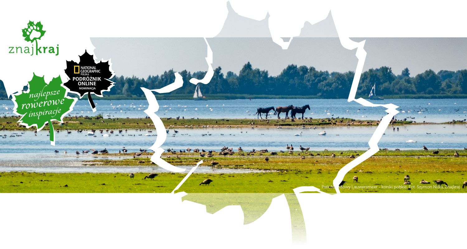 Park Narodowy Lauwersmeer - koniki polskie
