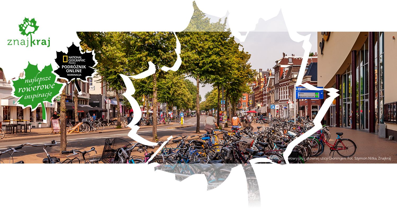 Parking rowerowy przy głównej ulicy Groningen