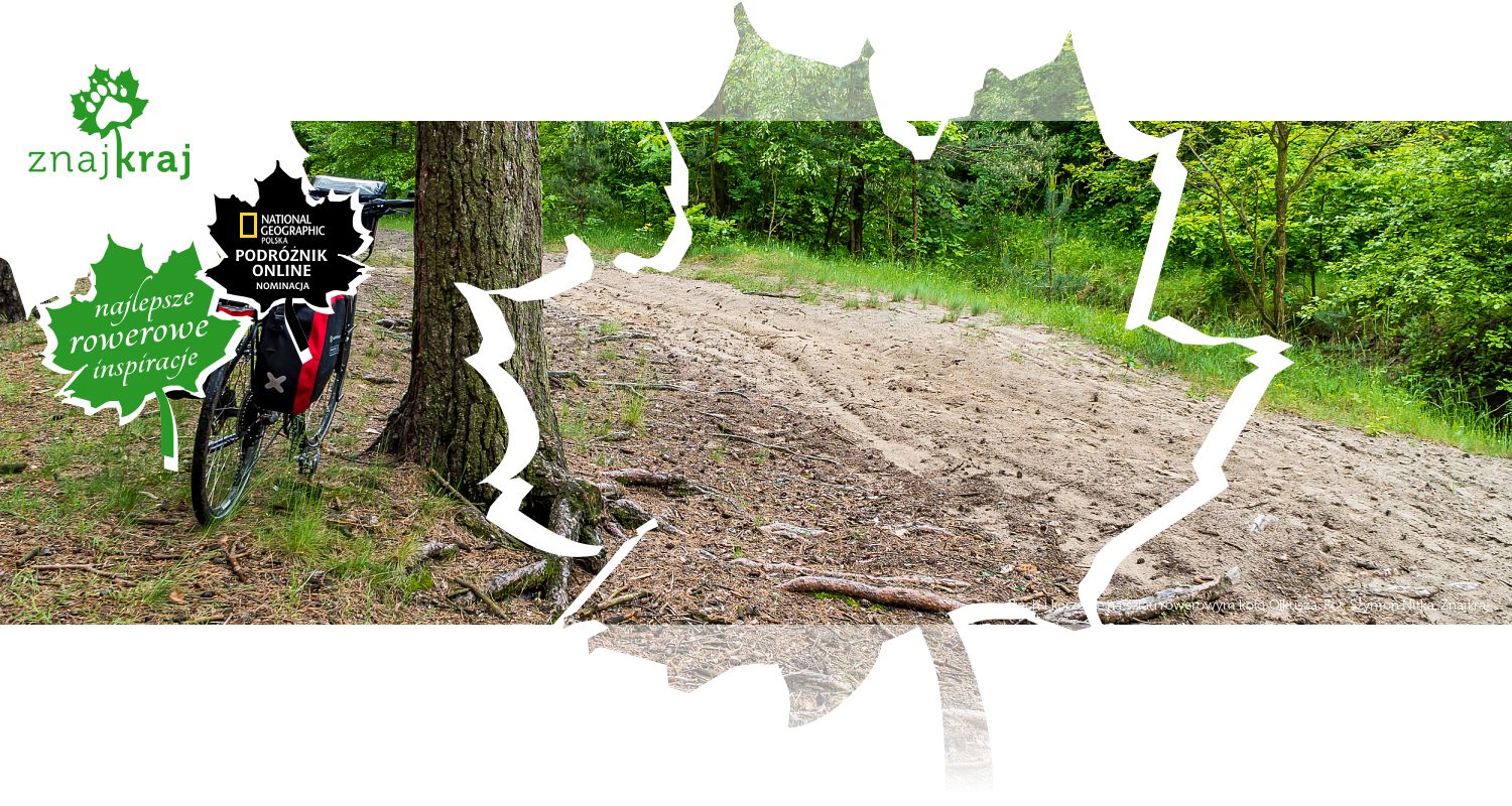 Piach i korzenie na szlau rowerowym koło Olkusza