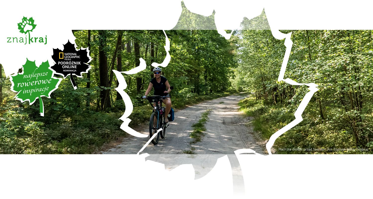 Piach na drodze przed Sasinem