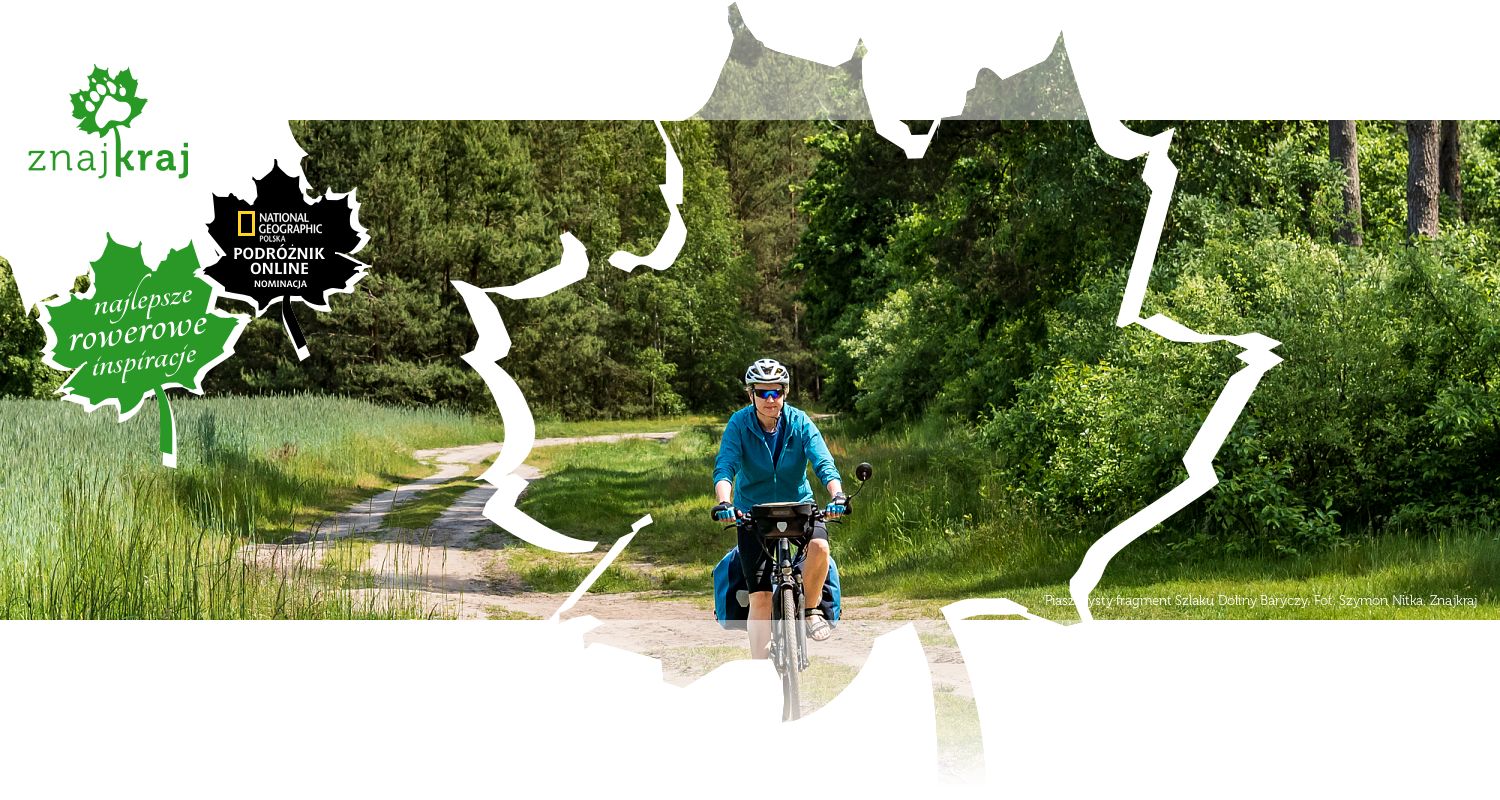 Piaszczysty fragment Szlaku Doliny Baryczy