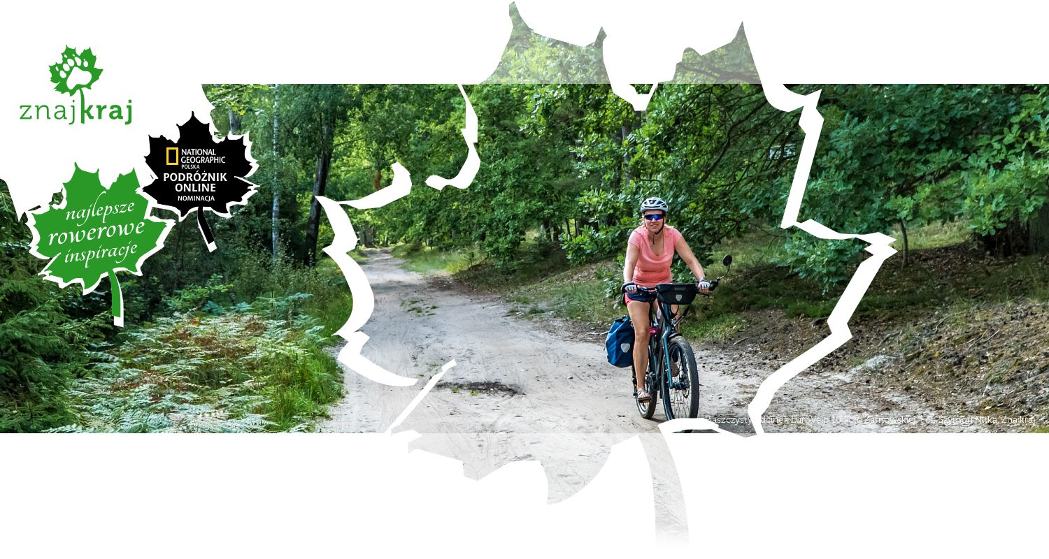 Piaszczysty odcinek EuroVelo 10 koło Żarnowskiej