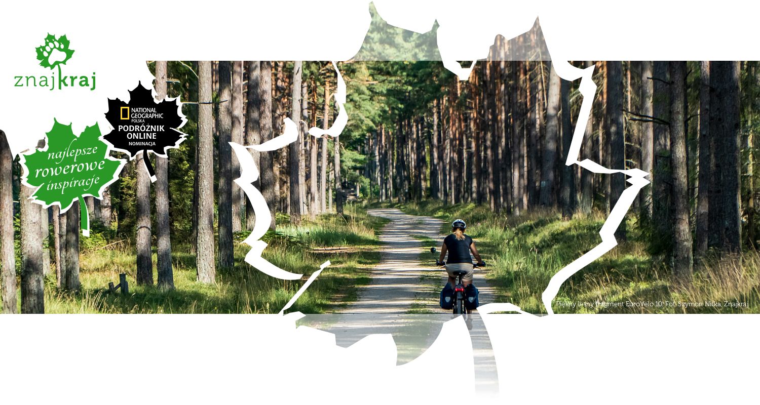 Piękny leśny fragment EuroVelo 10