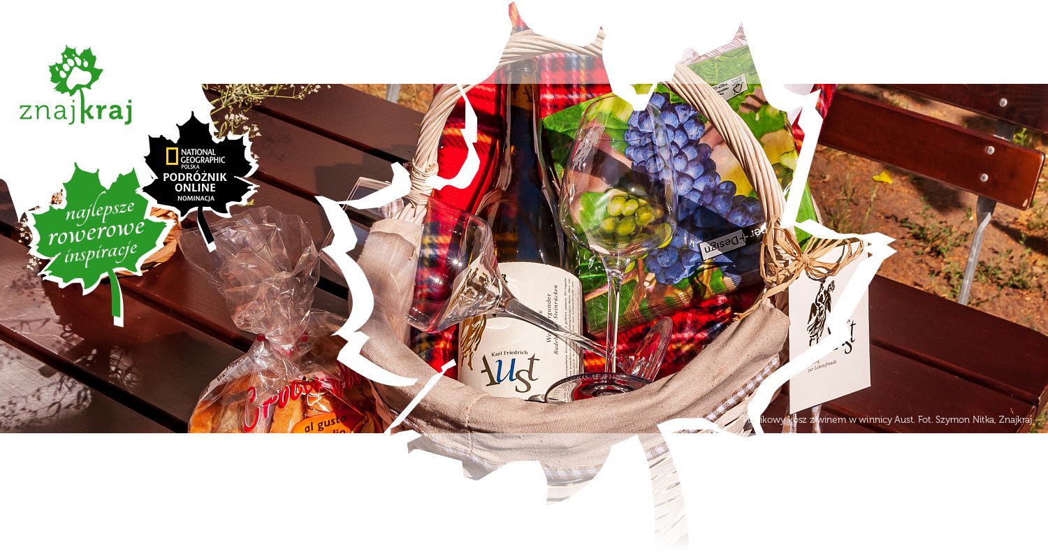 Piknikowy kosz z winem w winnicy Aust