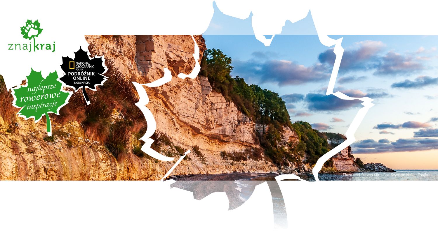 Plaża pod Stevns Klint