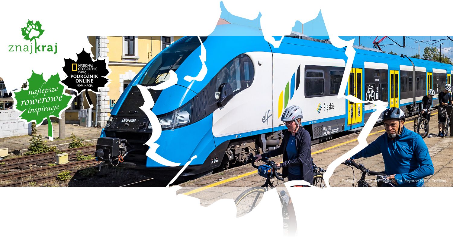 Pociąg Pesa Elf Kolei Śląskich