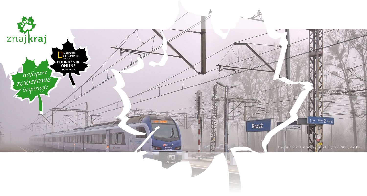 Pociąg Stadler Flirt w Krzyżu