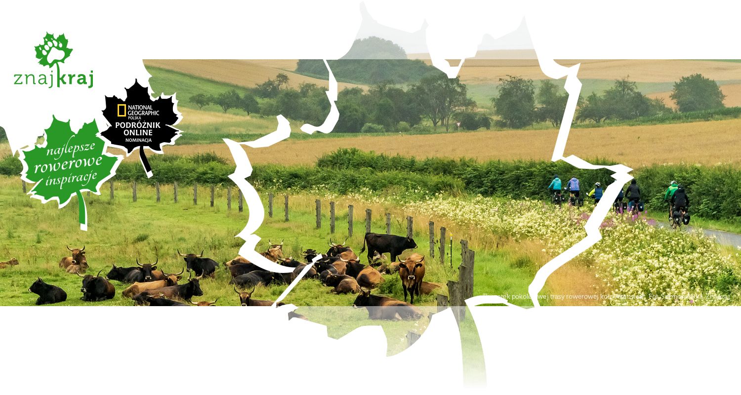 Początek pokolejowej trasy rowerowej koło Altenstadt