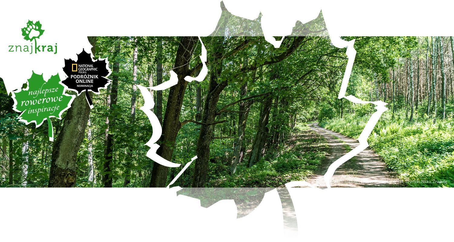 Początek Warmińskiej Łynostrady za Łyną