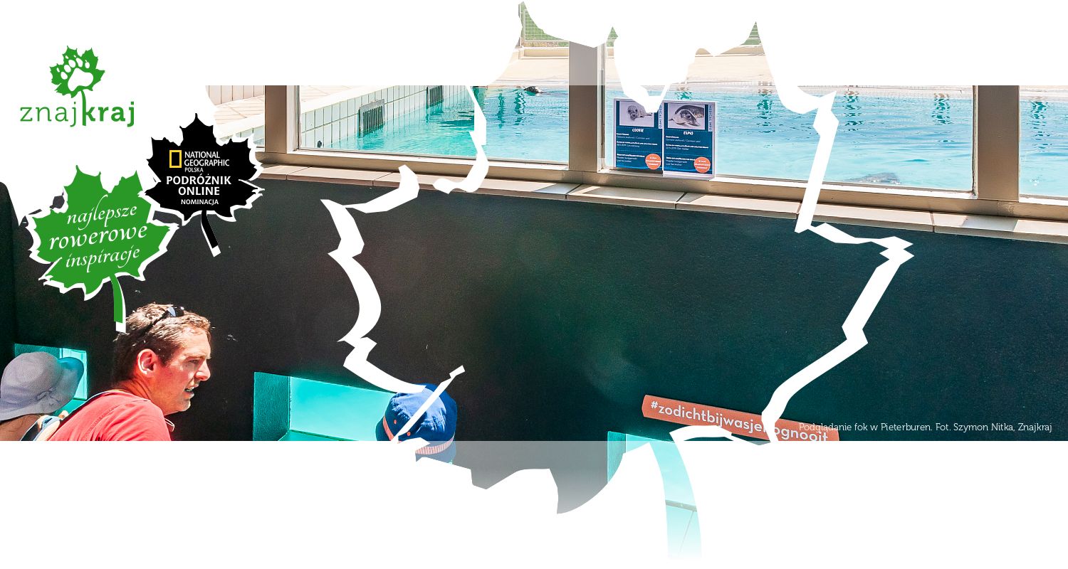 Podglądanie fok w Pieterburen