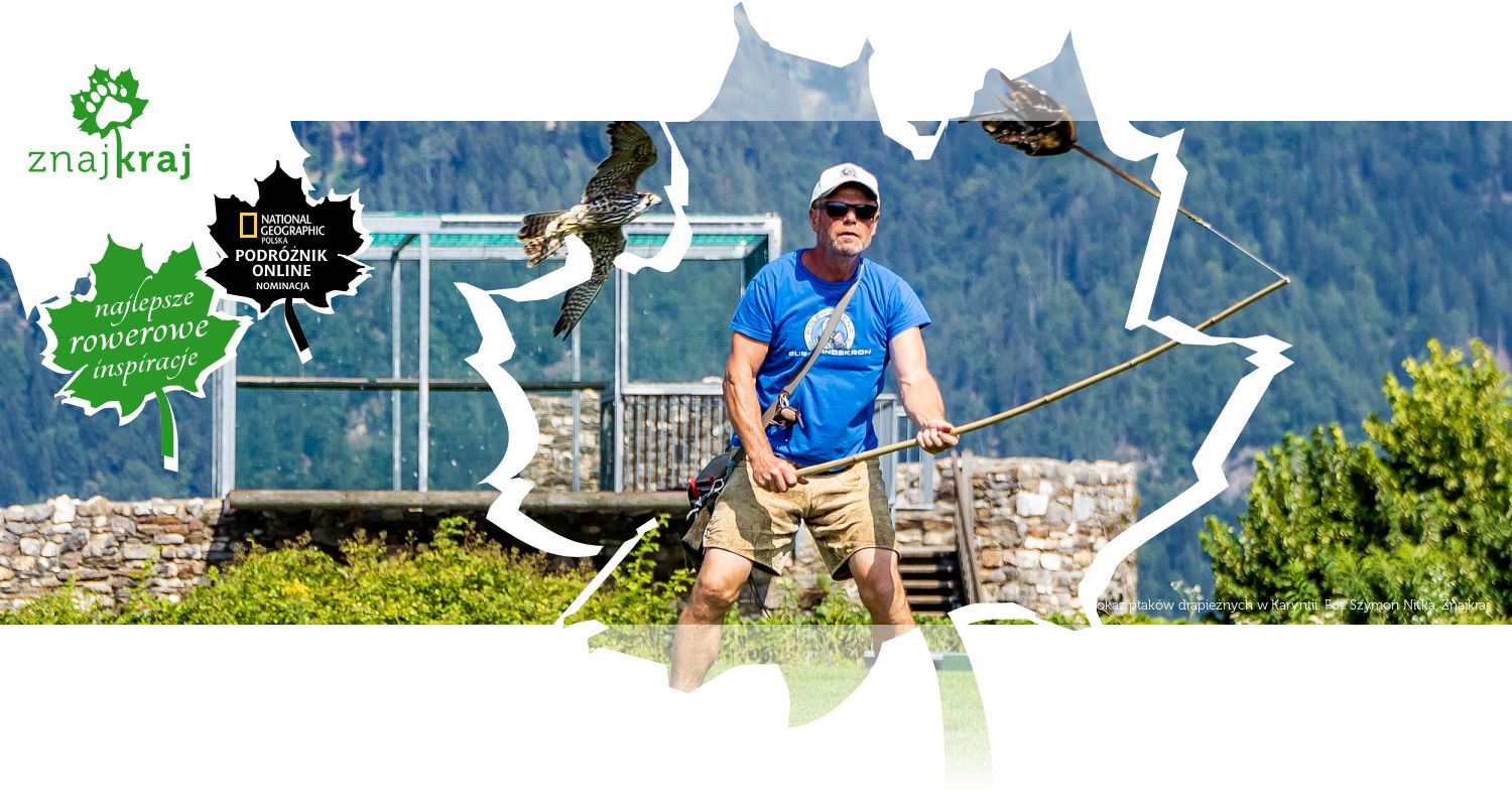 Pokaz ptaków drapieżnych w Karyntii