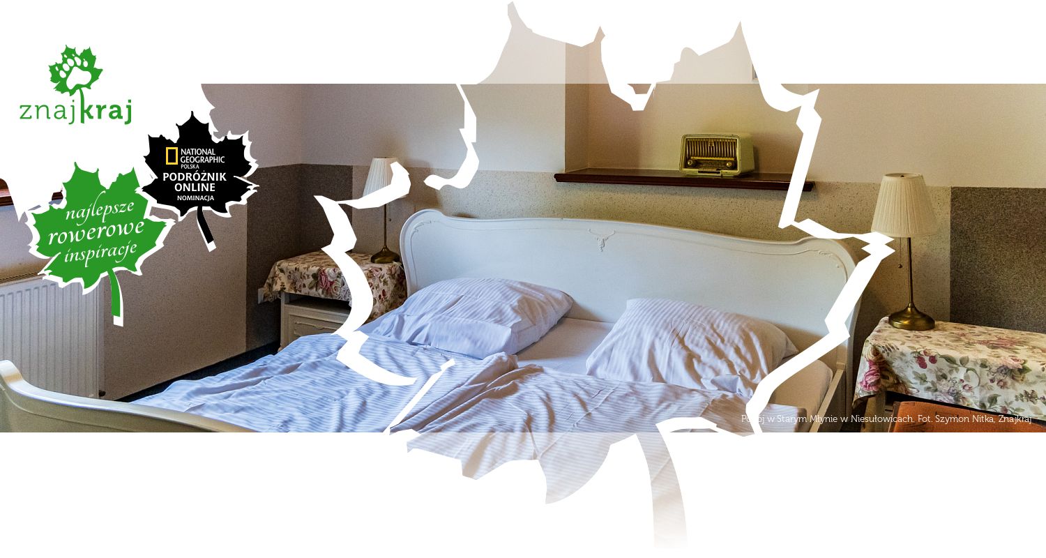 Pokój w Starym Młynie w Niesułowicach