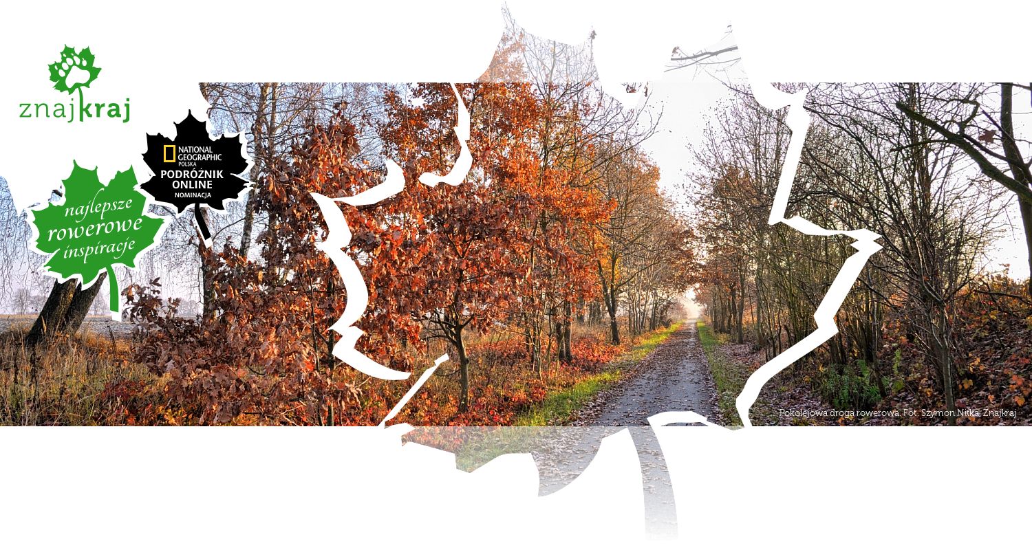 Pokolejowa droga rowerowa