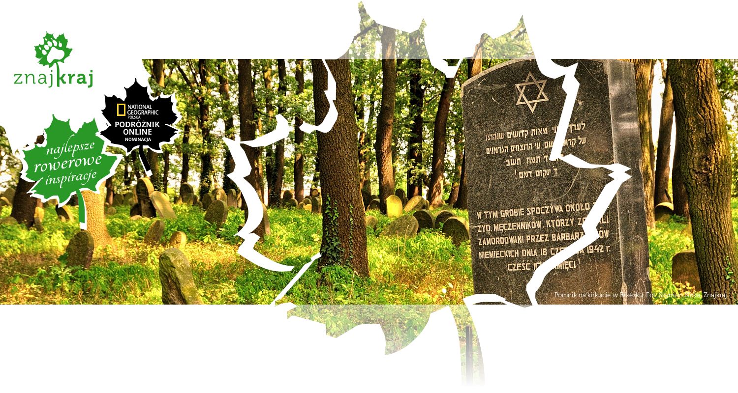 Pomnik na kirkucie w Brzesku