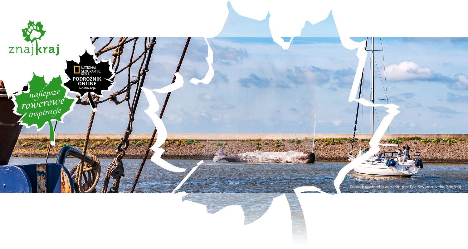 Pomnik wieloryba w Harlingen