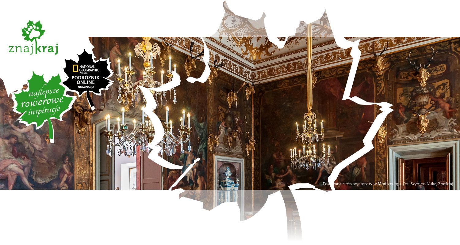 Pozłacane skórzane tapety w Moritzburgu