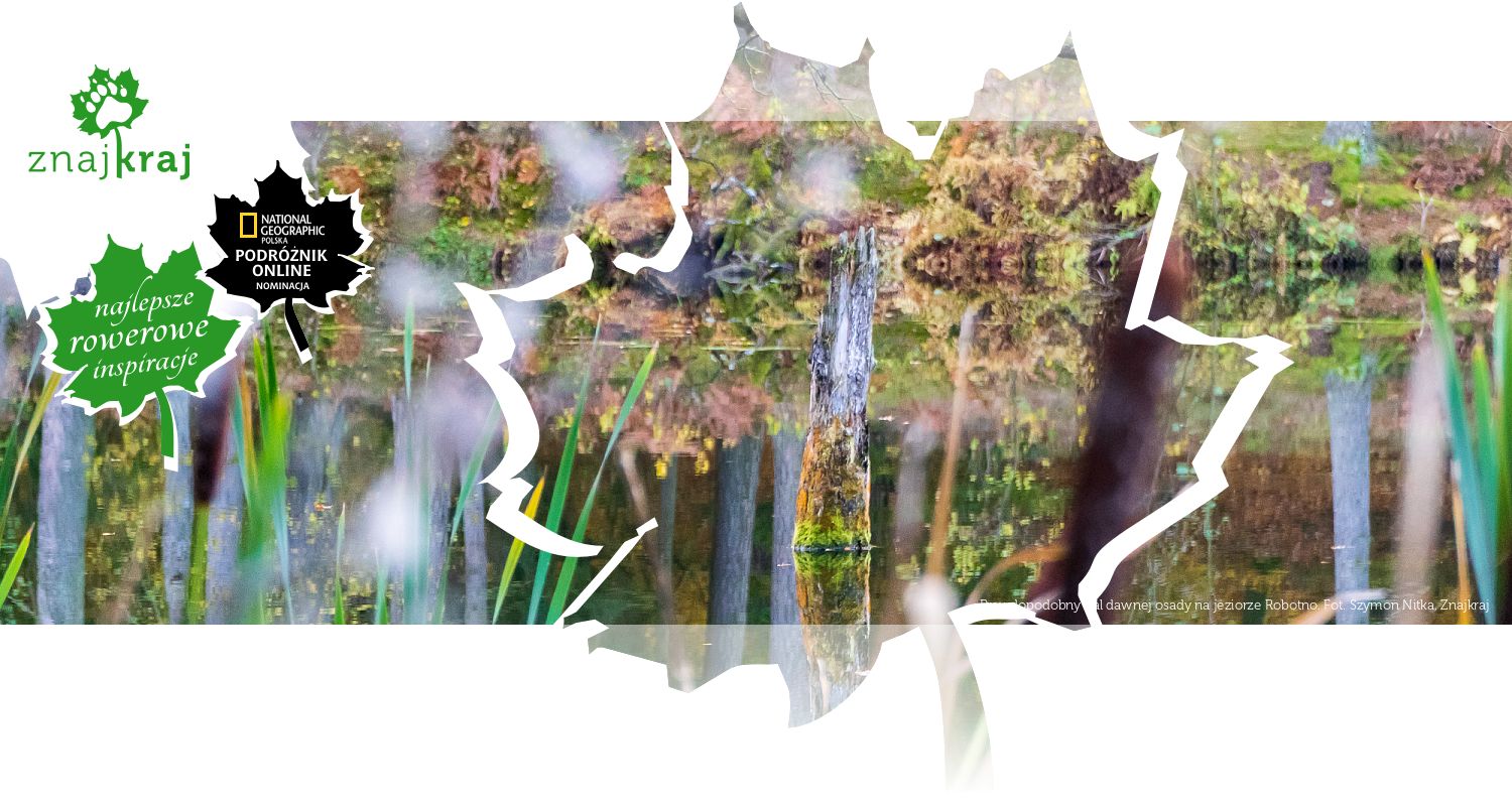 Prawdopodobny pal dawnej osady na jeziorze Robotno