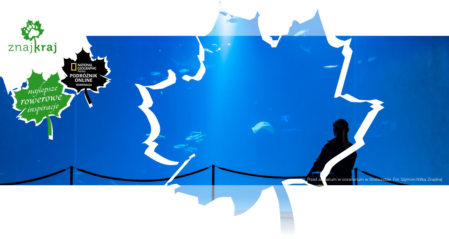 Przed akwarium w oceanarium w Stralsundzie
