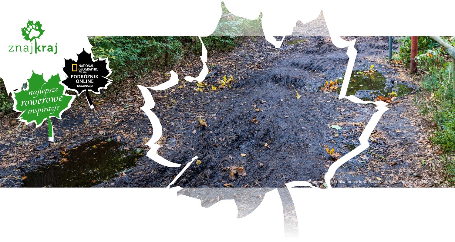 Przejazd w kierunku morza koło Międzyzdrojów