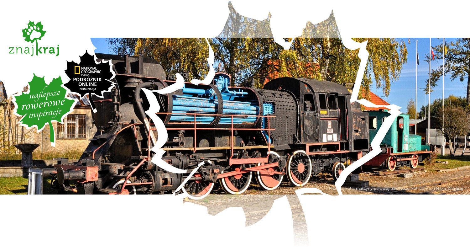 Przekrój kotła maszyny parowej parowozu