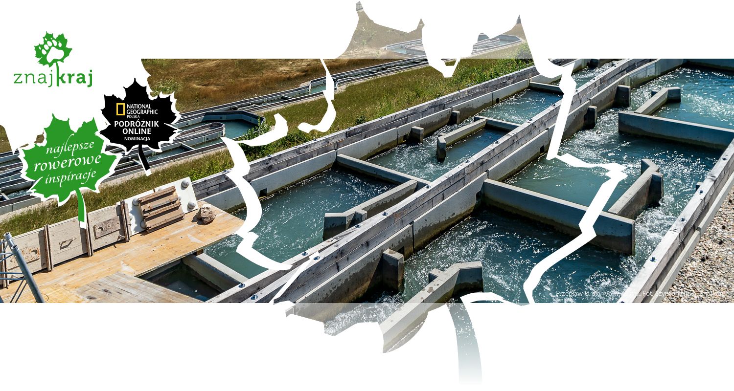 Przepławka dla ryb w Austrii