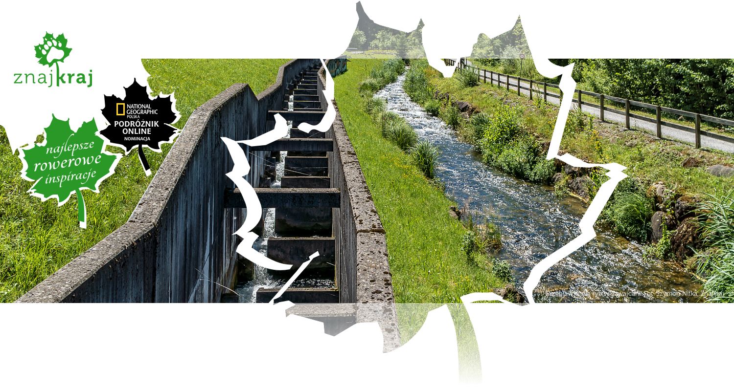 Przepławka dla ryb w Szwajcarii