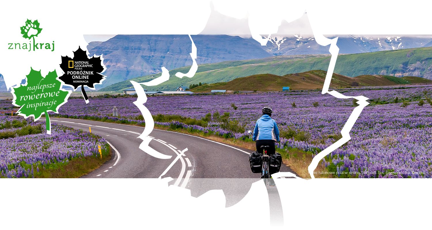 Przez łubinowe pola w stronę Skaftafell