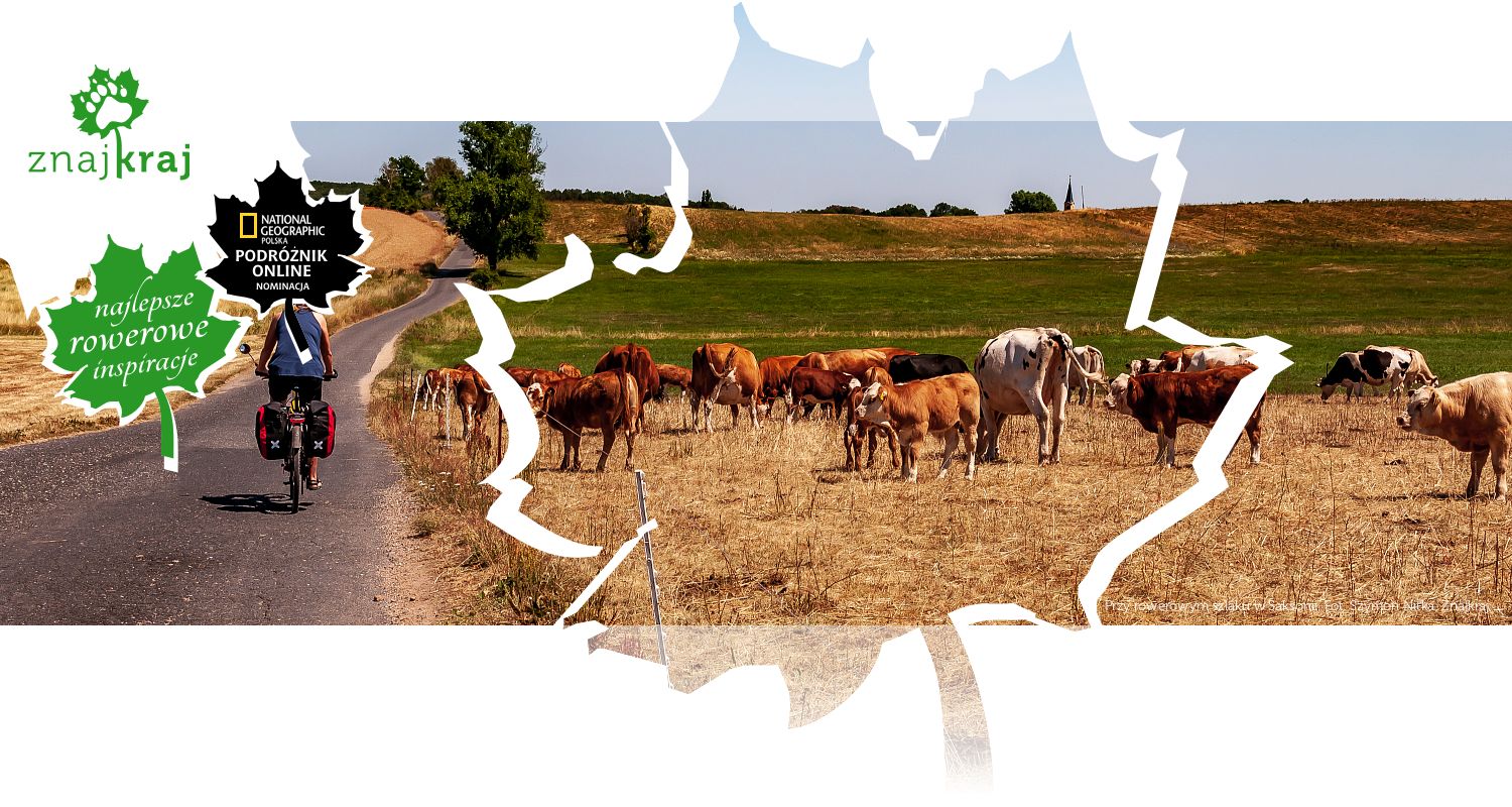 Przy rowerowym szlaku w Saksonii