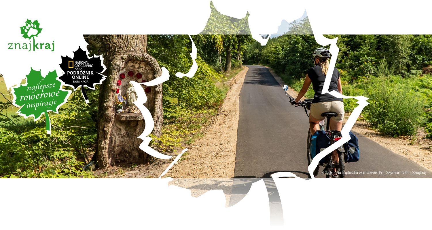 Przydrożna kapliczka w drzewie