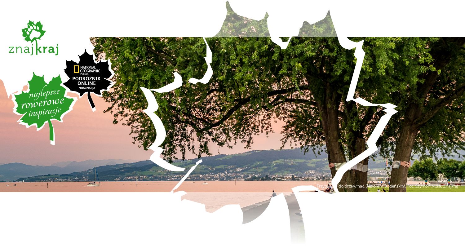 Przytulanie do drzew nad Jeziorem Bodeńskim