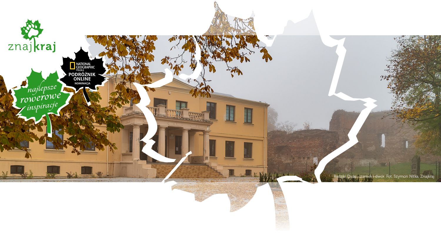 Radziki Duże - zamek i dwór