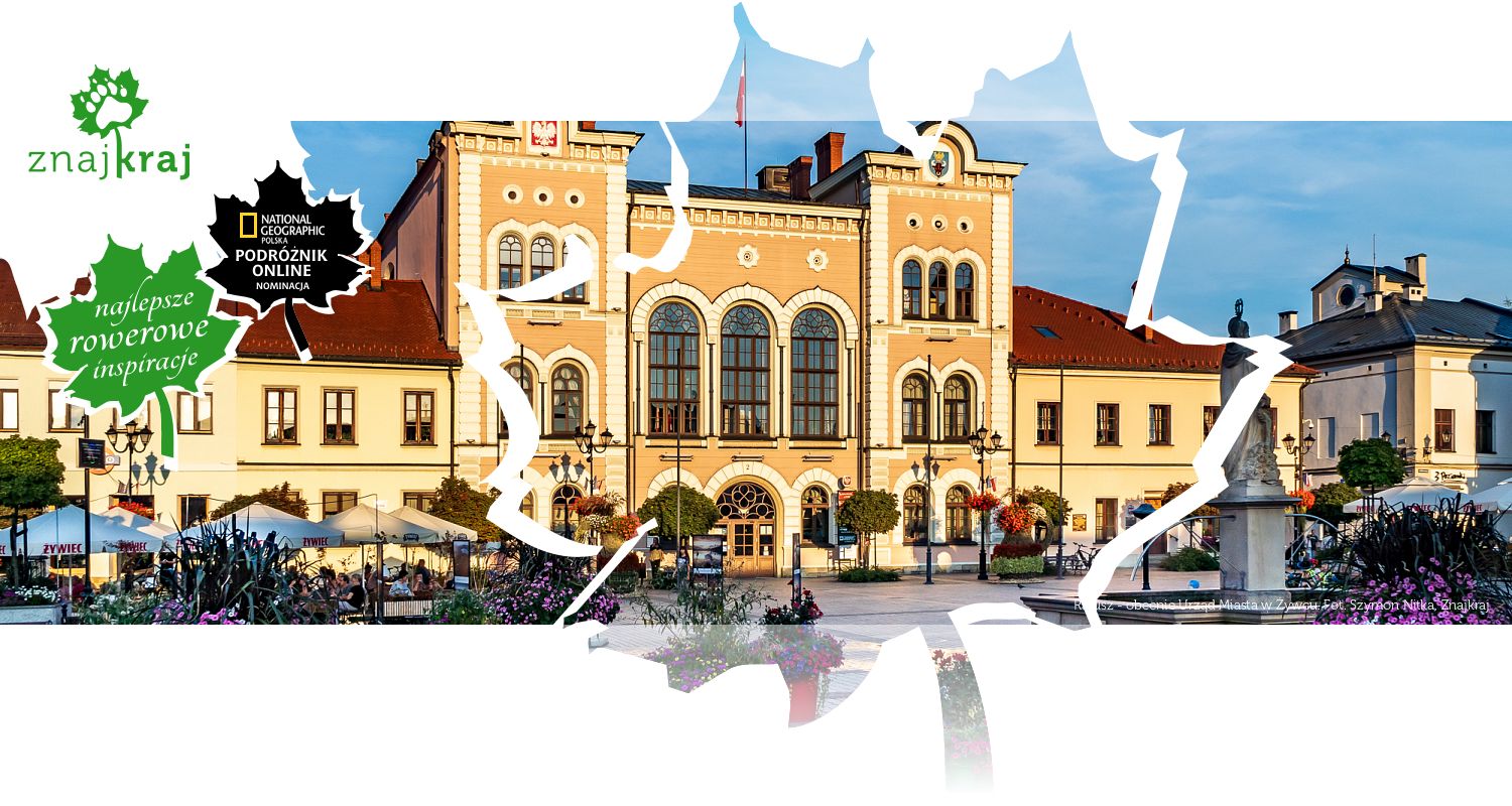 Ratusz - obecnie Urząd Miasta w Żywcu
