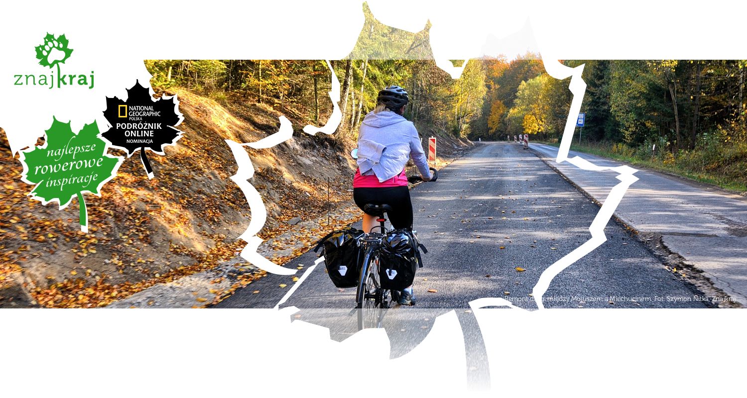 Remont drogi między Mojuszem a Miechucinem