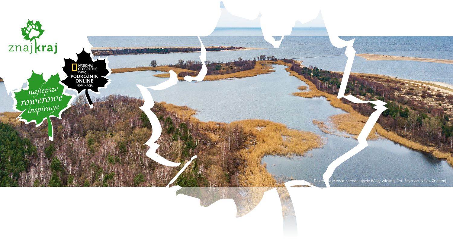 Rezerwat Mewia Łacha i ujście Wisły wiosną