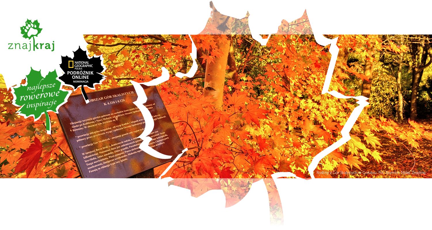 Rośliny z Gór Skalistych w Gołubiu