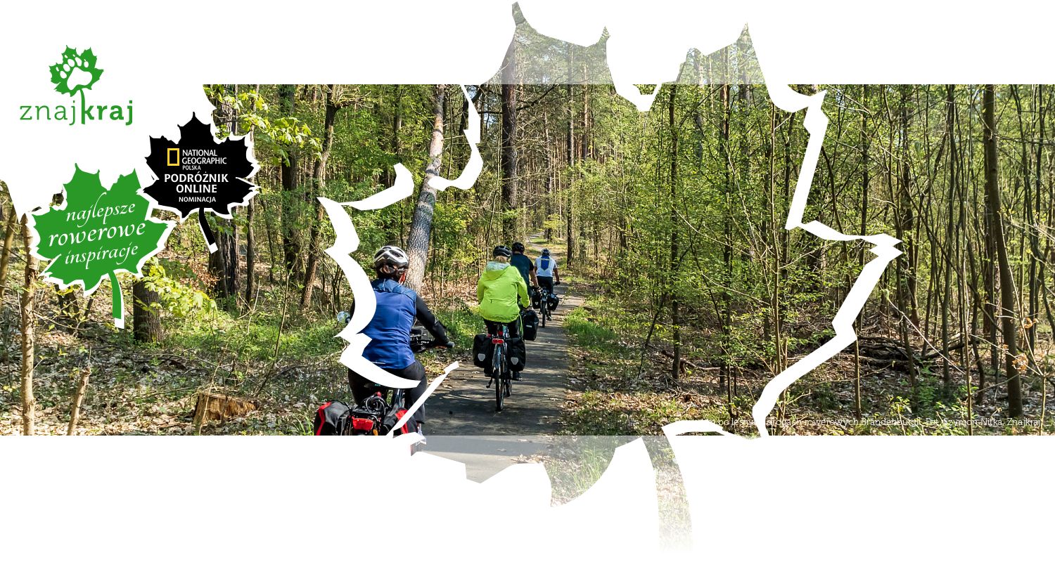 Rowerem po leśnych drogach rowerowych Brandenburgii