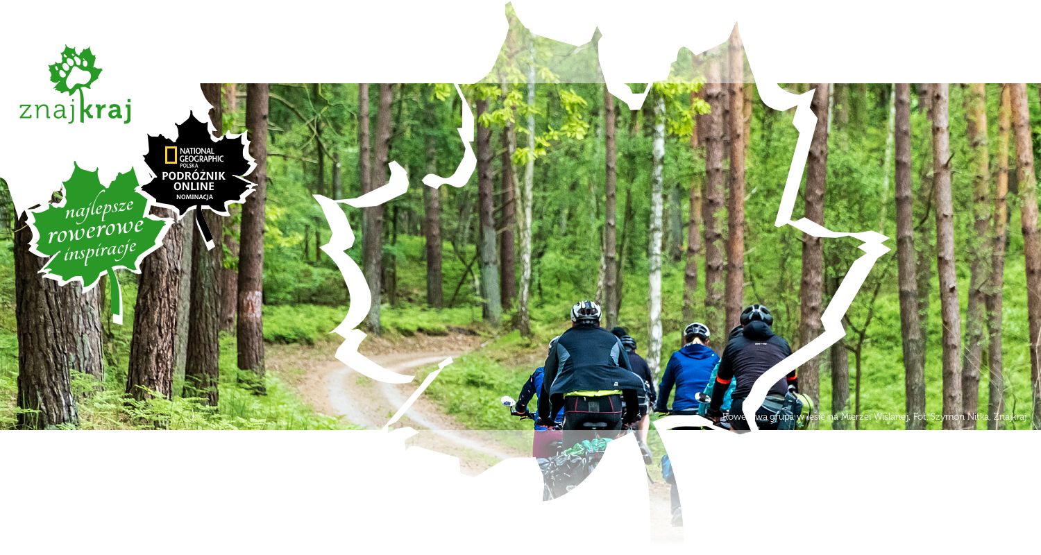 Rowerowa grupa w lesie na Mierzei Wiślanej