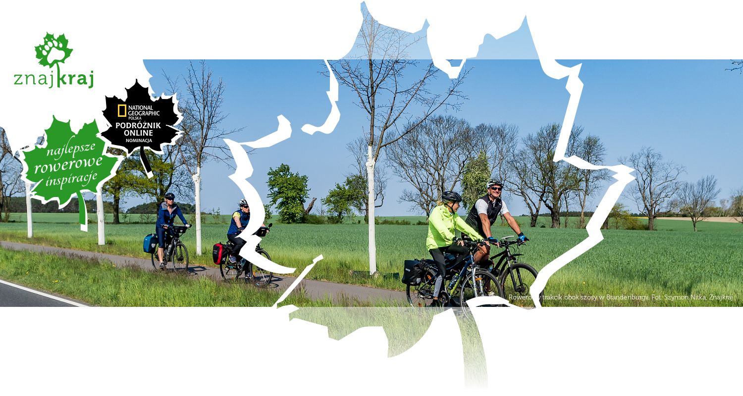 Rowerowy trakcik obok szosy w Brandenburgii
