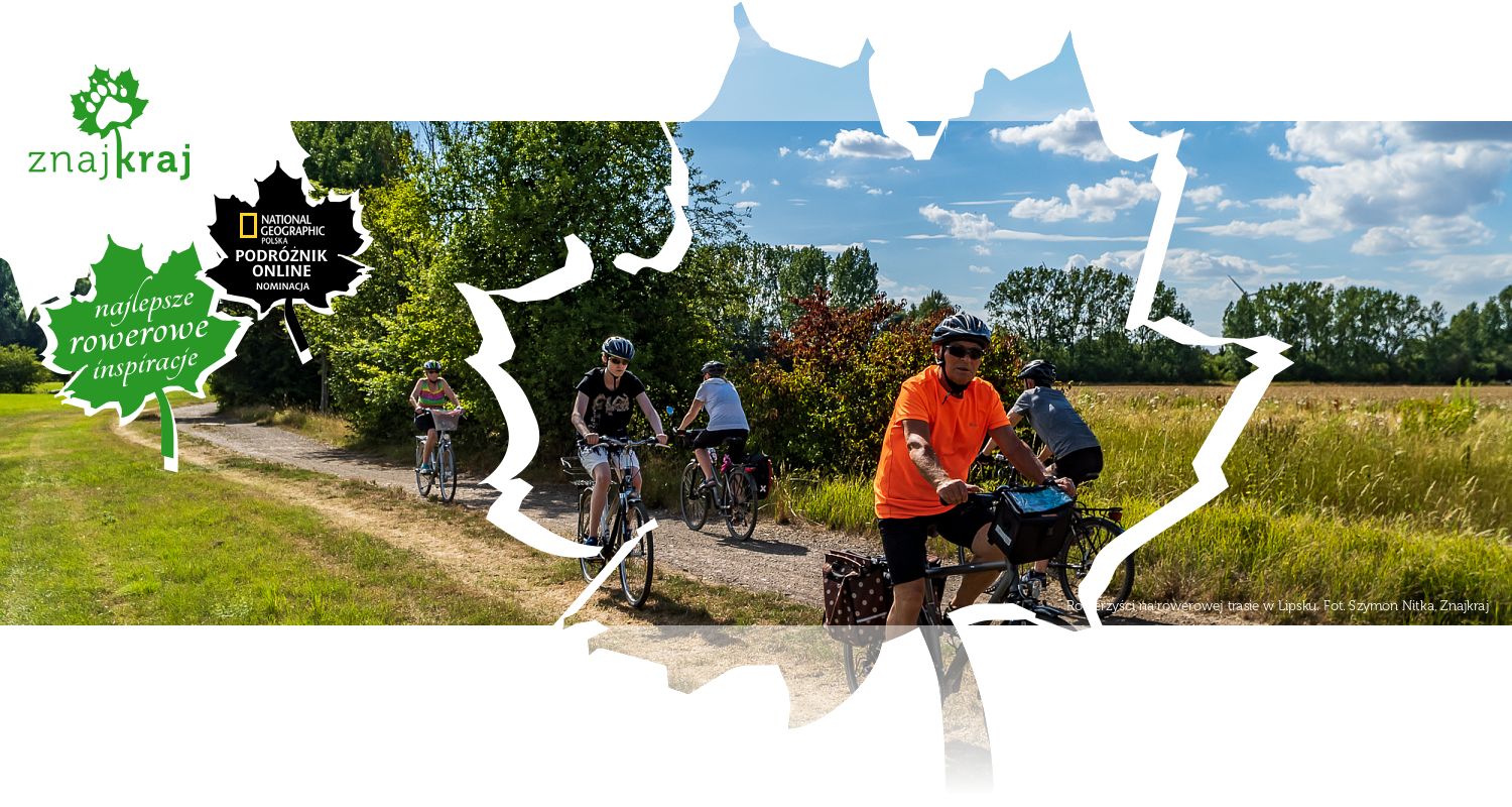 Rowerzyści na rowerowej trasie w Lipsku