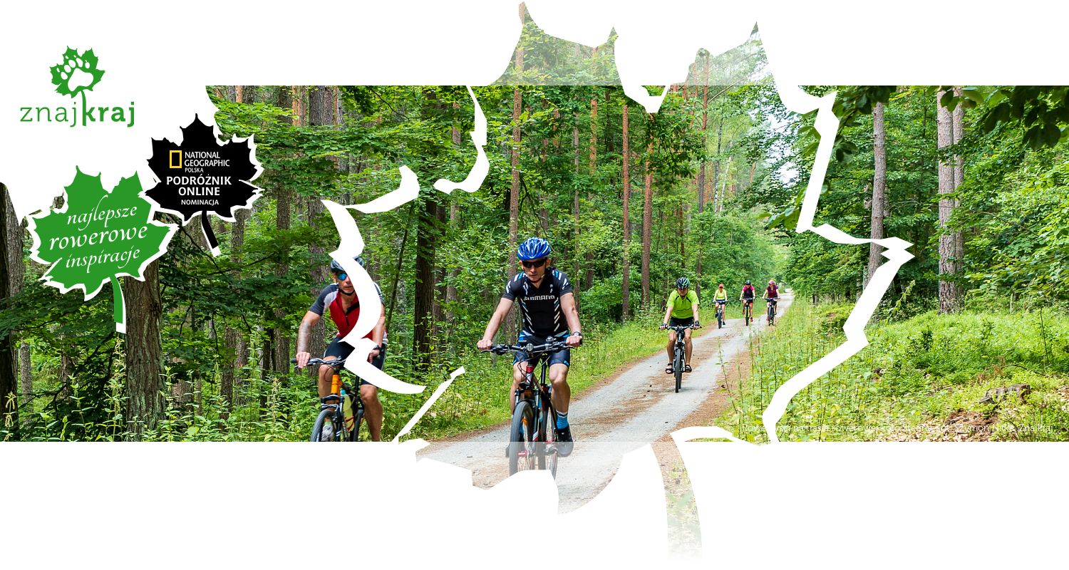 Rowerzyści na trasie rowerowej koło Stegny