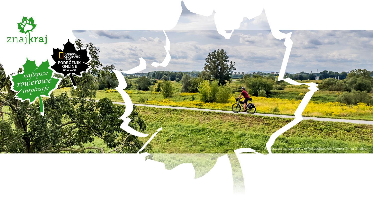 Rowerzysta na wale Wisły w Małopolsce